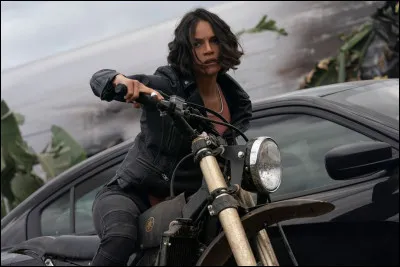 Quel est le personnage joué par Michelle Rodriguez ?