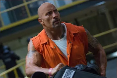 Quel est le personnage joué par Dwayne Johnson ?