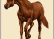 Quiz Devine les races de chevaux en dessin animé
