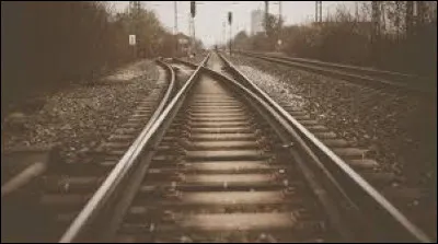 Quel train préfères-tu ?