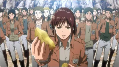 Aimes-tu les pommes de terre ?