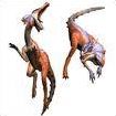 Quiz Monster hunter