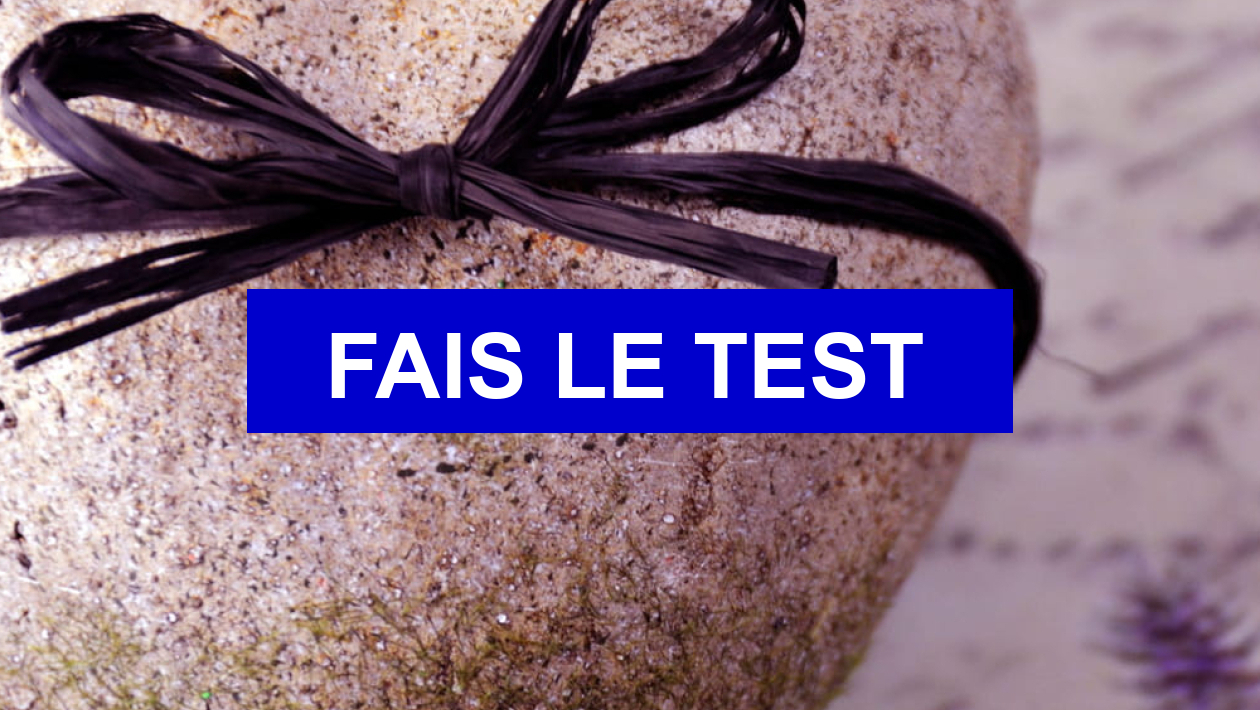 Quiz Tests de personnalit