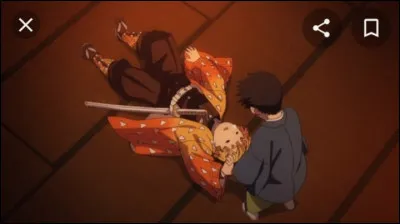 Question idiote, mais es-tu somnambule ?