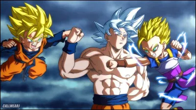 Comment s'appelle le fils de Goku ? (Pas le même que celui de la seconde question)