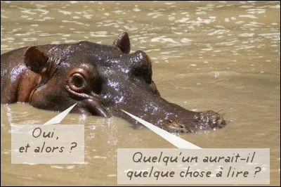 La nature étant une chose sans cesse renouvelée, comment l'hippopotame fait-il "popo" ?