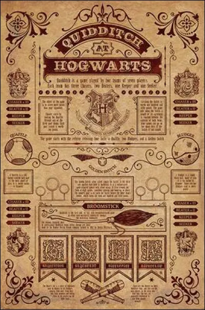Quels sont les postes de quidditch ? (1)