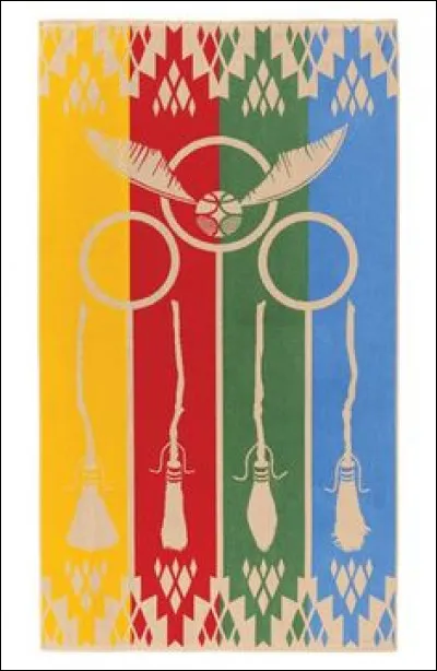 Qui sont les postes de quidditch ? (2)