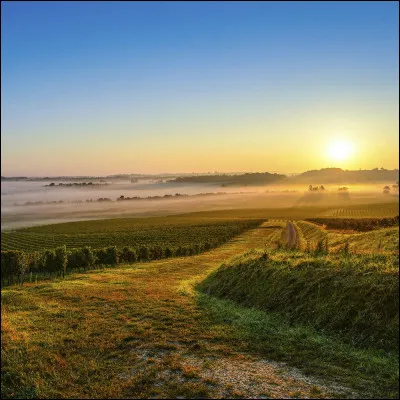 Région naturelle française dont le terroir est idéal pour la culture de la vigne, dans quel département situez-vous l'Entre-deux-Mers ?