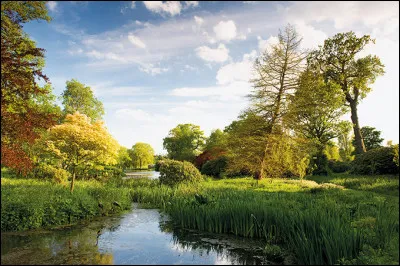 L'Est-Anglie (East-Anglia en anglais) est, comme son nom l'indique, une région de l'est de l'Angleterre. Dites-moi donc quelle mer la borde.