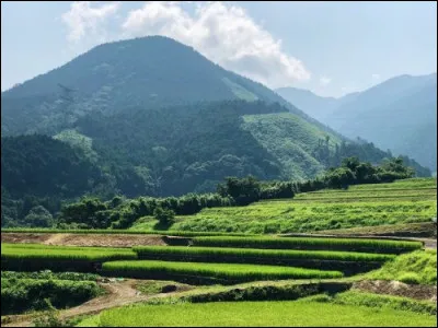 Éloignons-nous en Extrême-Orient. Dans quel pays trouverez-vous la préfecture d'Ehime ?