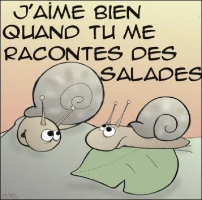 C'est l'histoire d'une salade qui se dispute avec une passoire. Que lui dit-elle ?