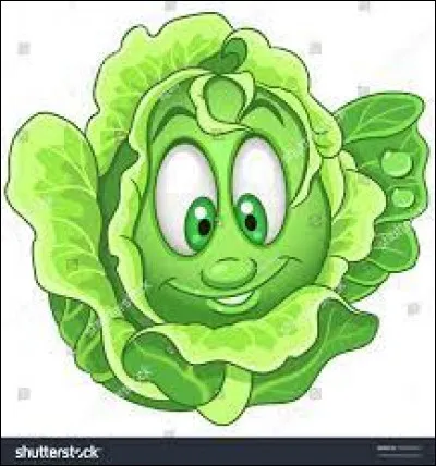 Le foie gras et le magret de canard entrent dans la composition de la salade périgourdine :