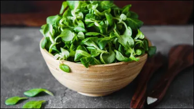 Ceci est une salade de roquettes :