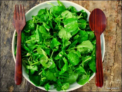 Ceci est une salade de cresson :