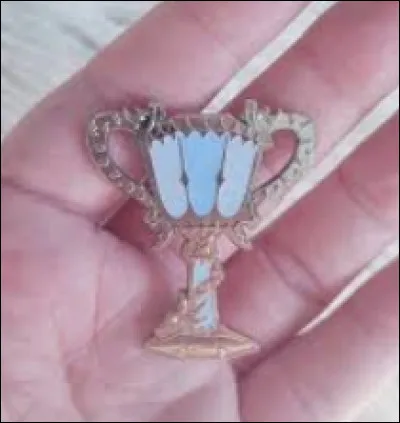 Quel champion de la Coupe des Trois Torciers préfères-tu ?