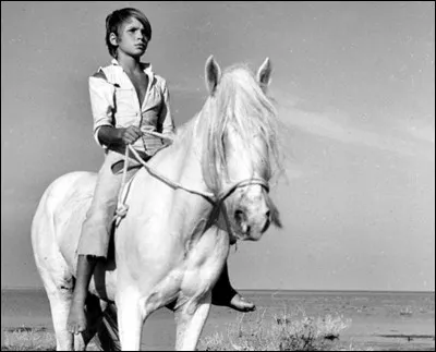 En 1953, quel est ce film d'Albert Lamorisse racontant l'amitié d'un enfant et d'un cheval sauvage ?