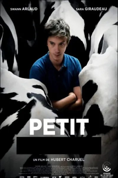 Quel est le bon "petit" dans le titre de ce film... ?