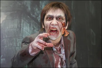 Quel groupe de rock irlandais s'est fait connaître en 1994 avec le titre "Zombie" ?