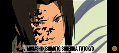 Si tu devrais partir dans ton pays préféré, tu emmènerais :