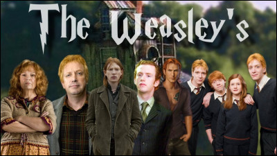 Combien y a-t-il de frères Weasley ?
