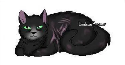 Dans quel clan se trouve Aile de Corbeau ?