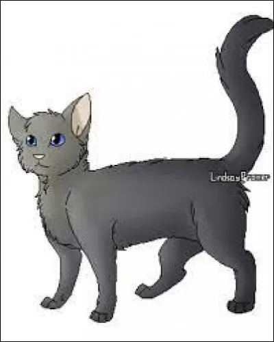 Poil de Ragondin est dans quel clan ?