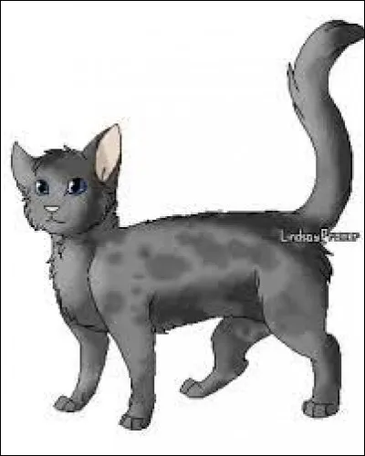 Dans quel clan est Goutte de Pluie ?