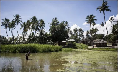 Le Mozambique se situe entre la Sierra Leone et la Côte d'Ivoire.