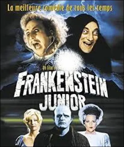 Parodie des films d'horreur, Frankenstein Junior est sorti en 1974. Mais qui était le réalisateur ?