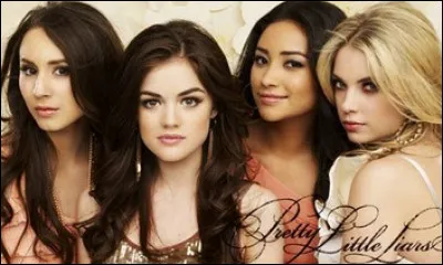 Combien y a-t-il de saisons ?