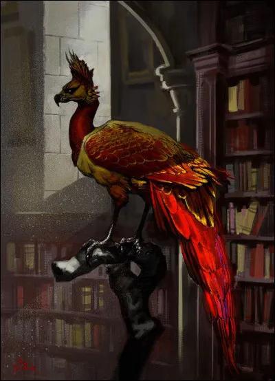 Quels sont les effets des larmes de Phénix ?