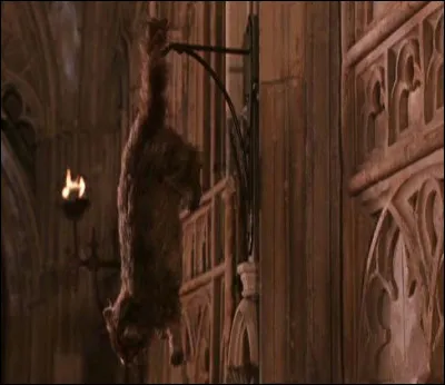 Avec quelle plante peut-on contrer les effets de la pétrification ?