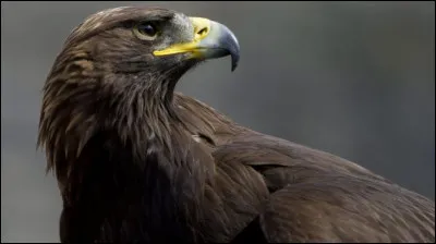 Quel épice préfères-tu ?