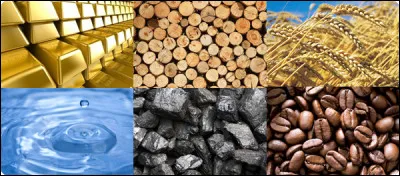 Quelle matière préfères-tu ?