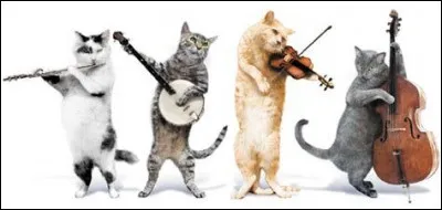 Quel type d'instrument de musique préfères-tu ? (Et je n'ai pas dit "joues-tu", je veux parler de l'instrument que tu trouves le plus joli ou celui dont tu trouves qu'il a le plus beau son.)