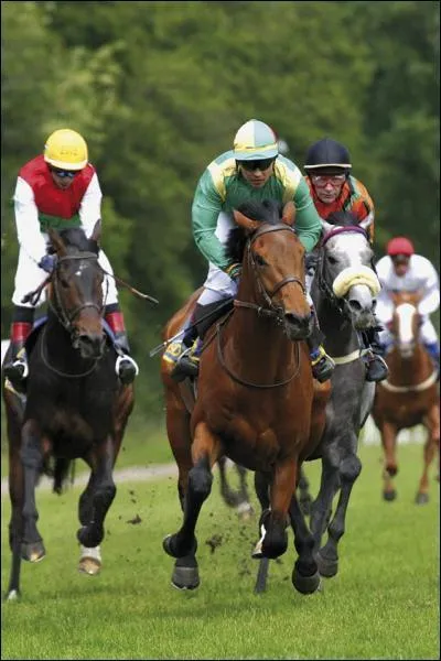 De quelle discipline s'agit-il ?