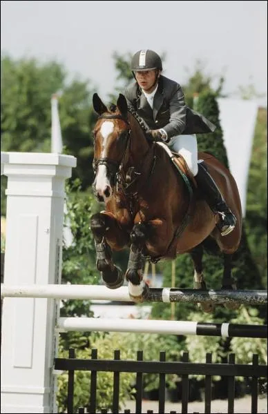 De quelle discipline s'agit-il ?