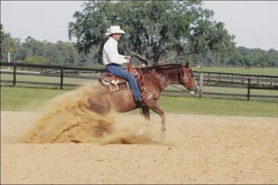 De quelle discipline s'agit-il ?