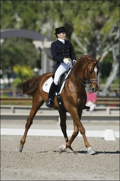 De quelle discipline s'agit-il ?