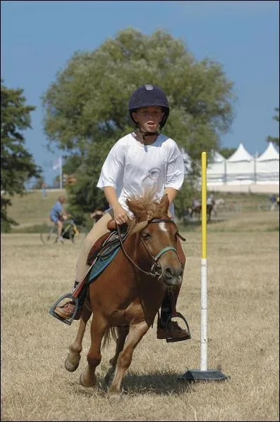 De quelle discipline s'agit-il ?
