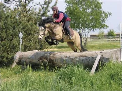 De quelle discipline s'agit-il ?