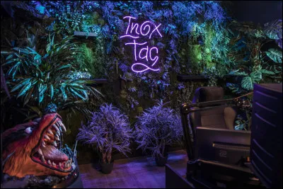 Les plantes de son studio sont :