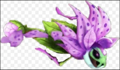 À quoi sers-tu plutôt dans ton équipe ?