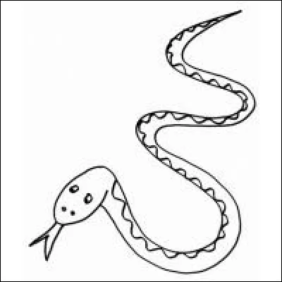 Soudain la nuit un serpent ce glisse dans ta tente que fais-tu ?