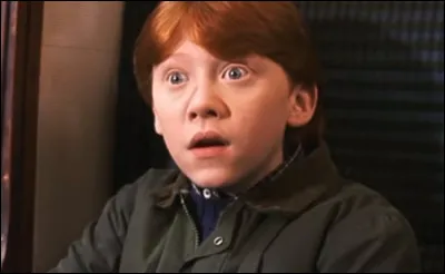 Ton pire défaut est :