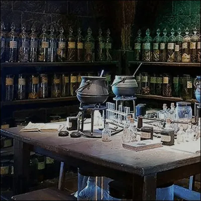 La matière que tu préfères dans ''Harry Potter'' est :