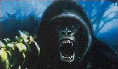 À partir de ce petit bout d'affiche retrouvez le titre du film auquel elle appartient.