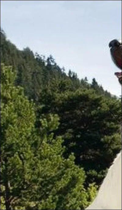 À partir de ce petit bout d'affiche retrouvez le titre du film auquel elle appartient.