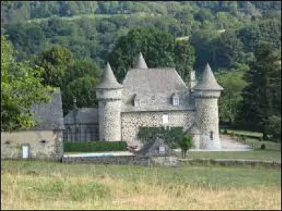 Je vous emm&egrave;ne en Auvergne-Rh&ocirc;ne-Alpes &agrave; la d&eacute;couverte du ch&acirc;teau de Sourniac. Village de l'arrondissement de Mauriac, il se trouve dans le d&eacute;partement ...